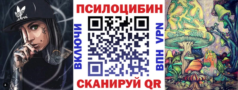 даркнет наркотические препараты  блэк спрут ссылки  Галлюциногенные грибы GOLDEN TEACHER  Киреевск  цены наркотик 